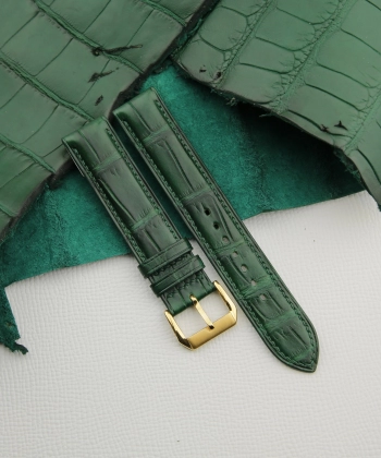 Full Padded Green Alligator White Lining Epsom Fixed Bars Watch Strap