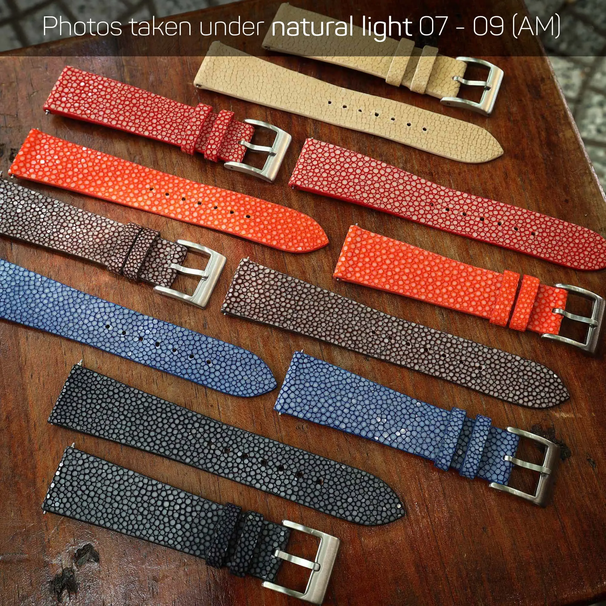Stingray collection under natural light 07-09 AM