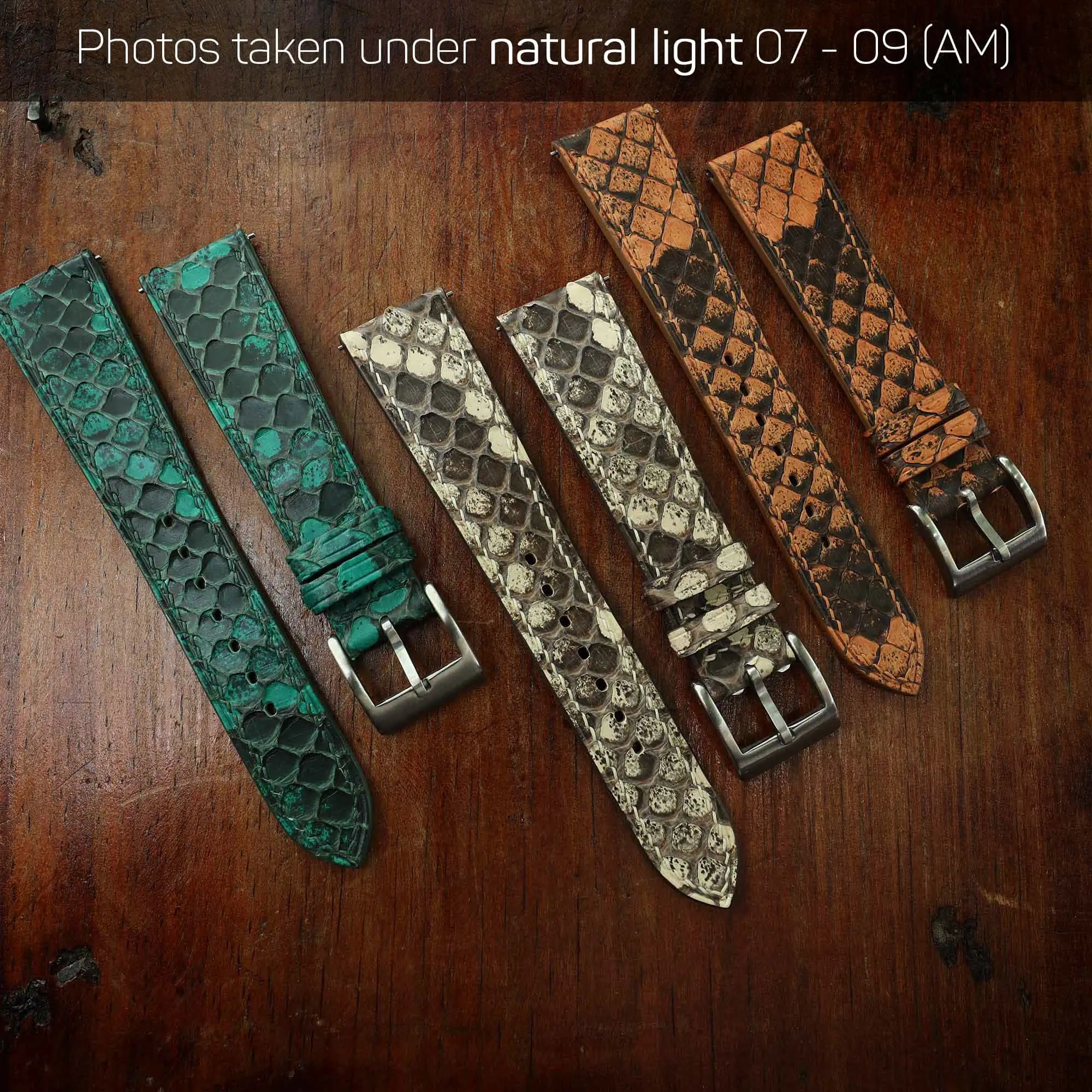 Python collection under natural light 07-09 AM