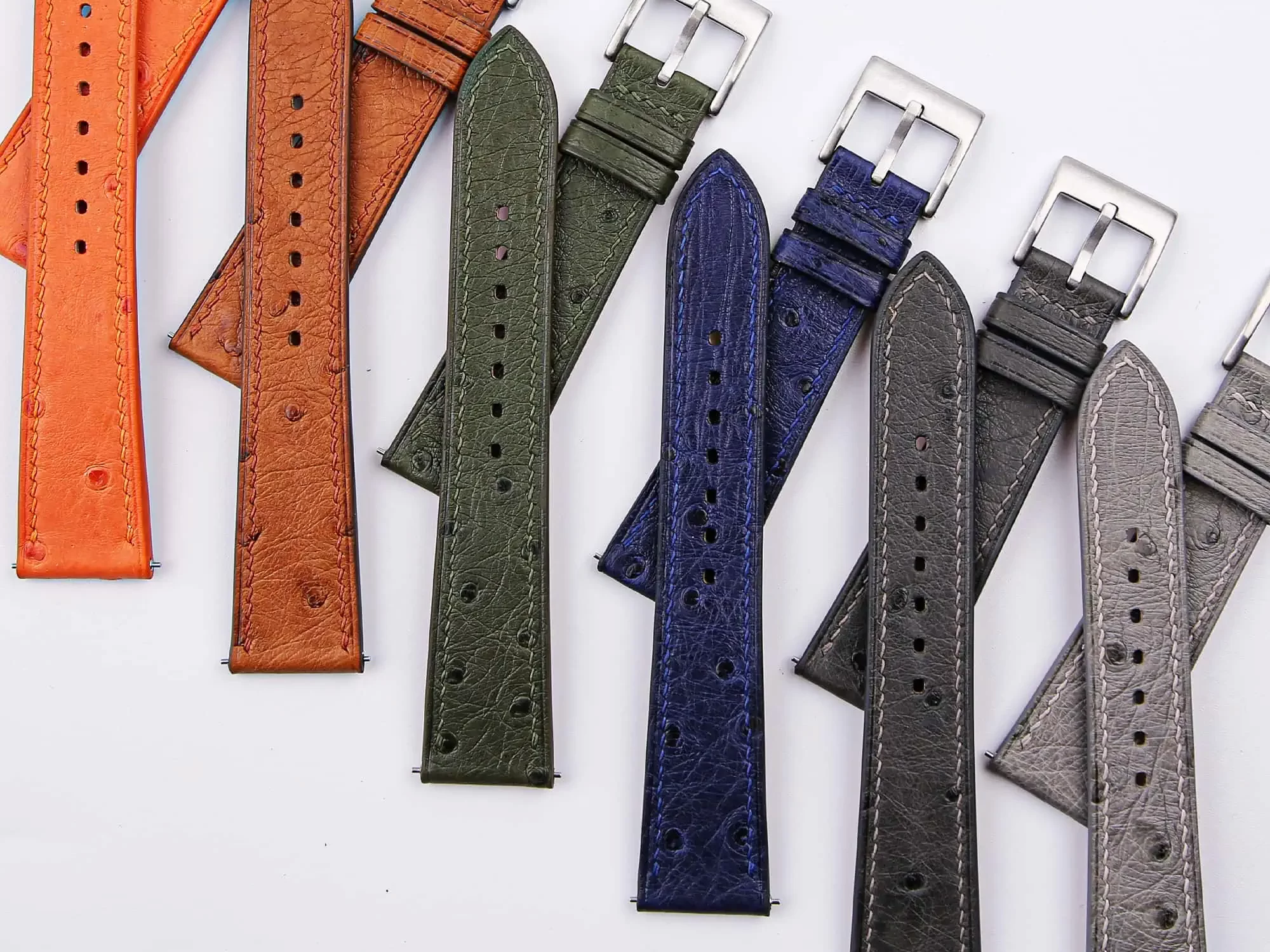 The Evolution of Watch Straps: From Leather to Metal and Beyond 2 ostrich collection include 6 main colors